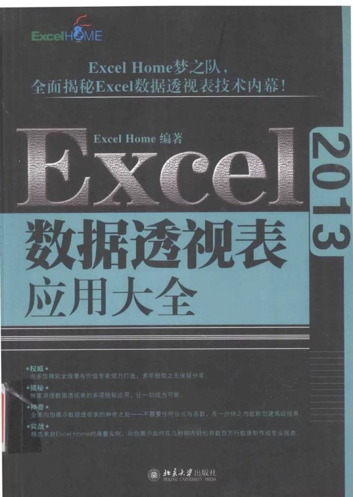 Excel 2013数据透视表应用大全  PDF