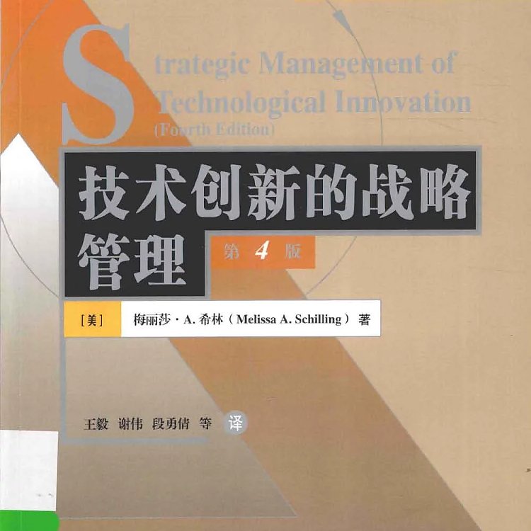 技术创新的战略管理 第4版  PDF